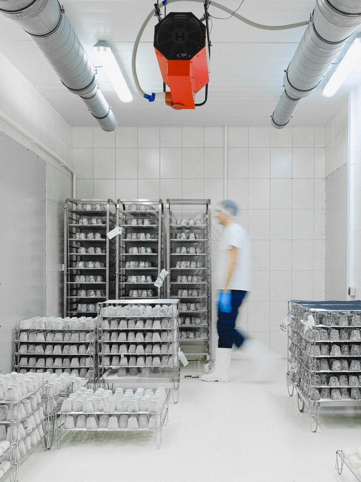 Interior de una cámara frigorífica